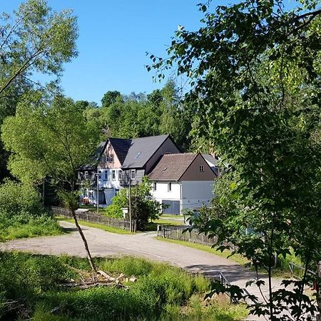 Naturferienhaus Luppbodemuhle 알로데 외부 사진