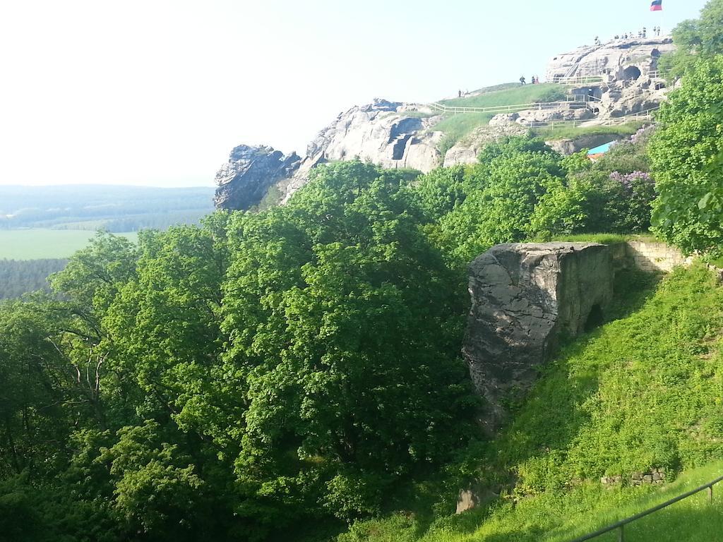 Naturferienhaus Luppbodemuhle 알로데 외부 사진